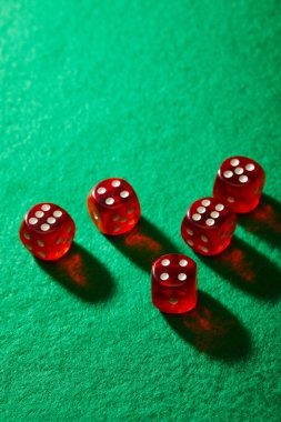 Live roulette wheel spin from danatoti broadcast studio